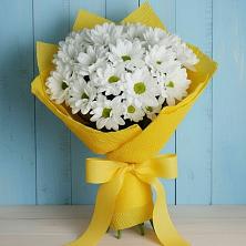 Букет цветов из:  Хризантемы в Эльбане