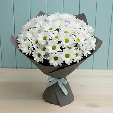 Букет цветов из:  Хризантемы в Эльбане