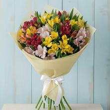 Букет цветов из:  Альстромерии в Эльбане