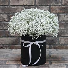 Цветочная композиция из Гипсофила в шляпной коробке #REPLACE_PRED# Эльбане