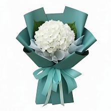 Букет цветов из:  Гортензия #REPLACE_PRED# Эльбане